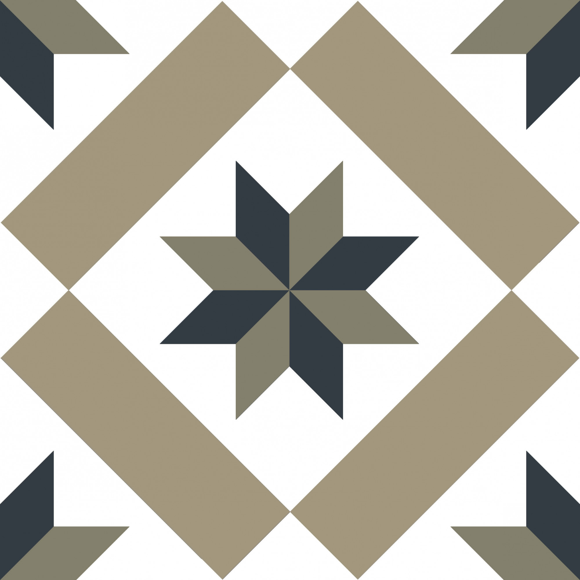 Picasso Torian