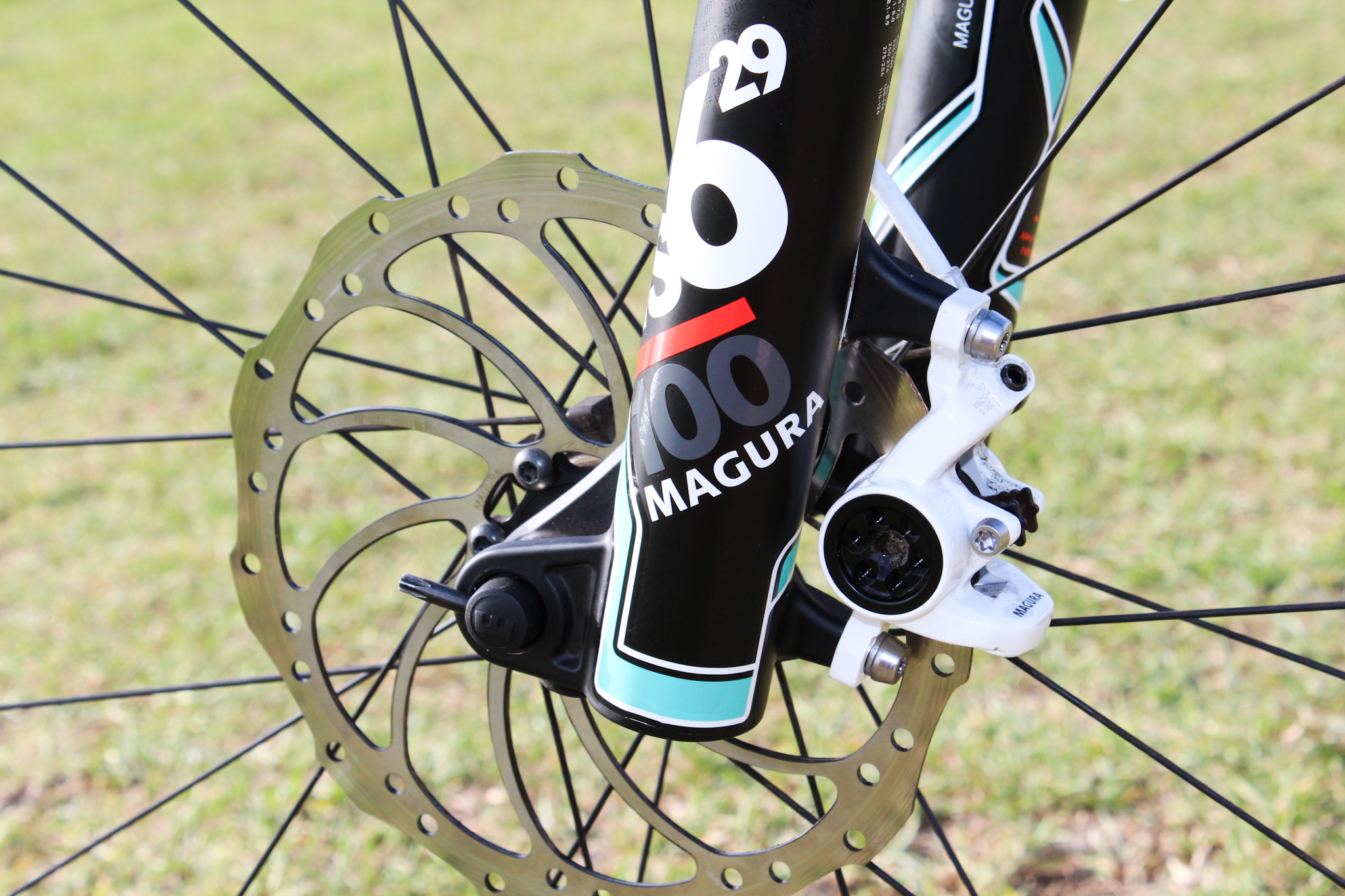 WEB_TEST_Bianchi-3