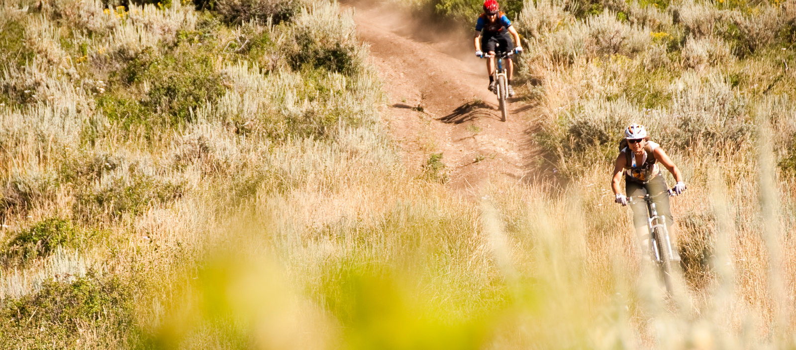 How To Route Internal Gear Cables Park Tool vs Hack Tool