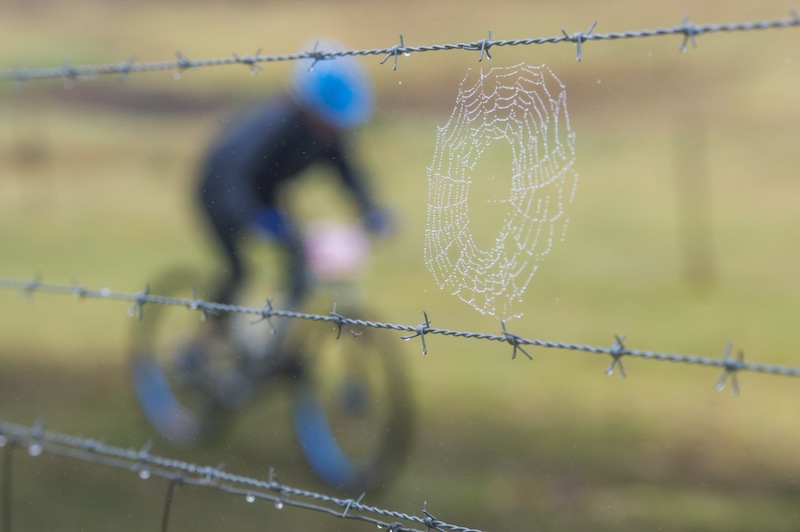 Conditions were cold enough to turn your head and feet blue. 