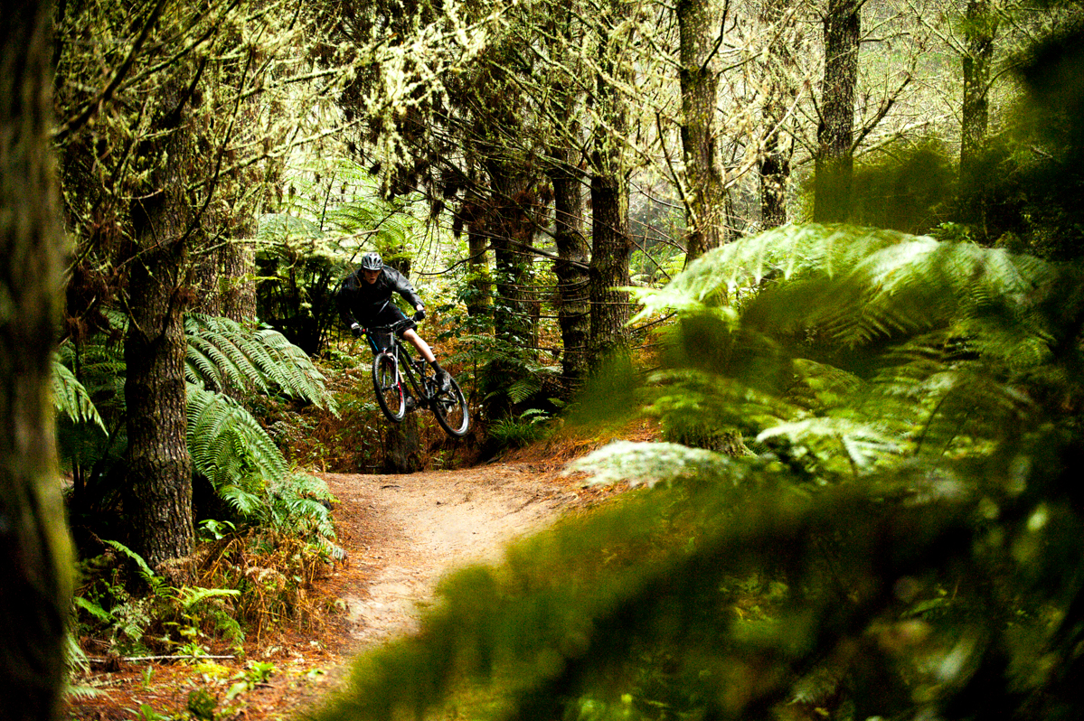 Flow_Web_Feature_Top10Trails_Huckleberry-15