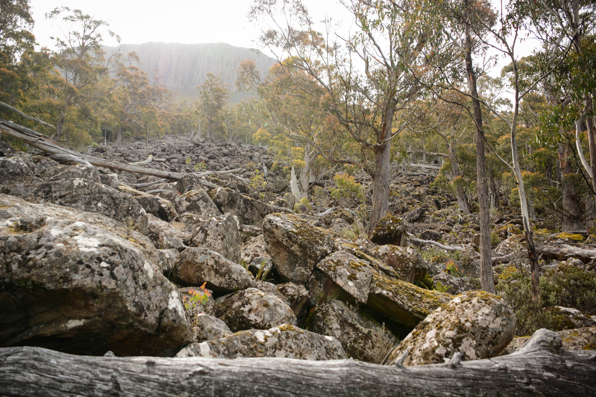 The rocky scree slope is an amazing sight to take in.