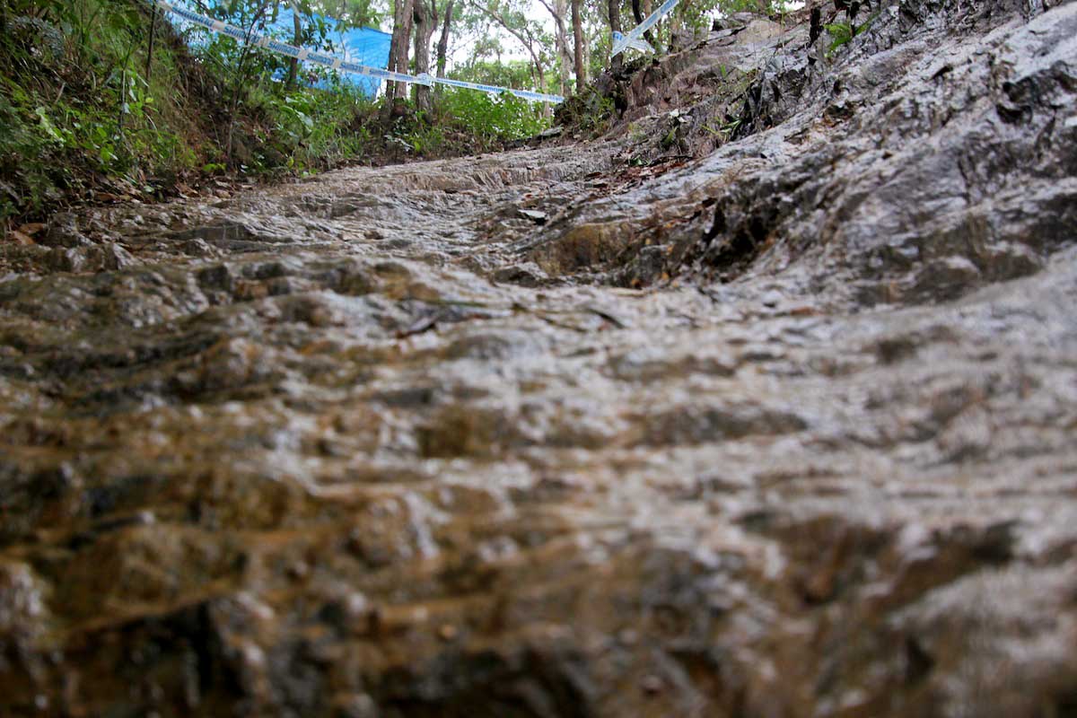 Cairns 2014 XC track walk-7