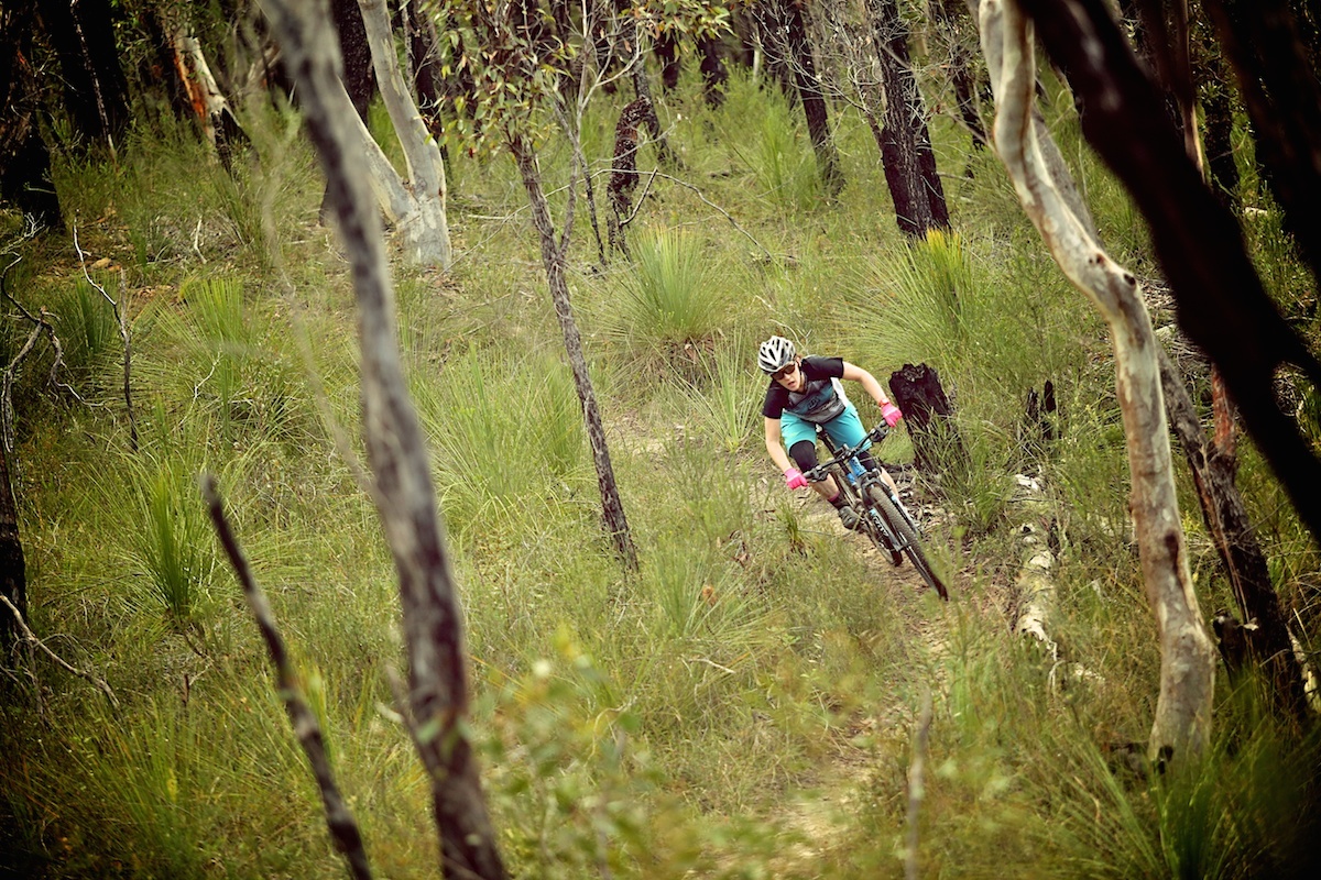 Smooth trails, endless fun.