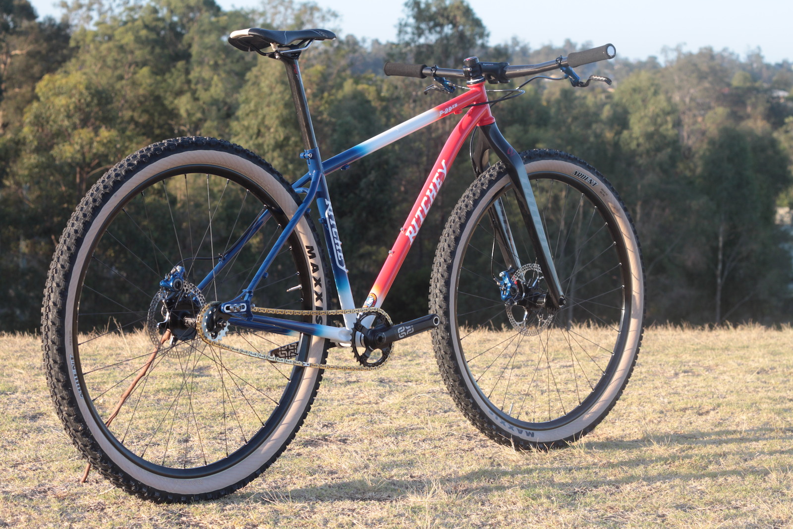 Rigid single store speed mtb