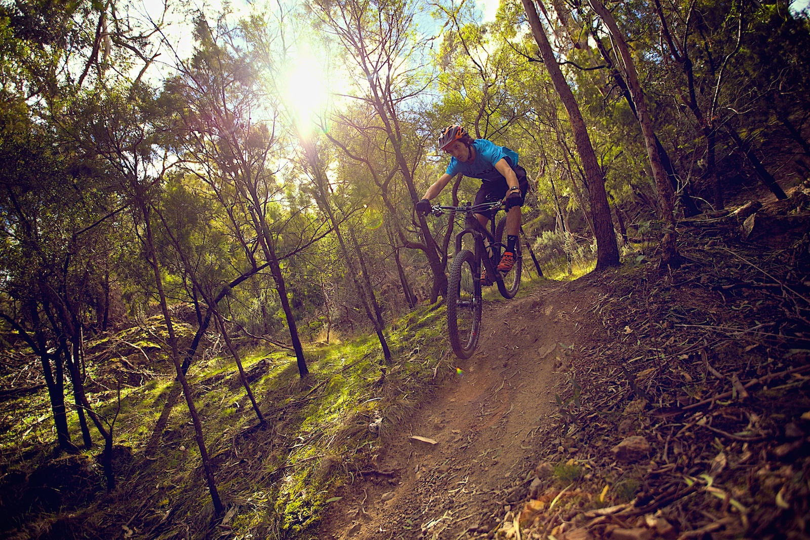 MustRide Meehan Range, Hobart