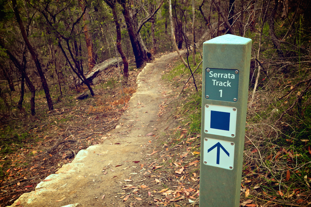 New Trail Preview: Serrata Track - Bantry Bay, NSW