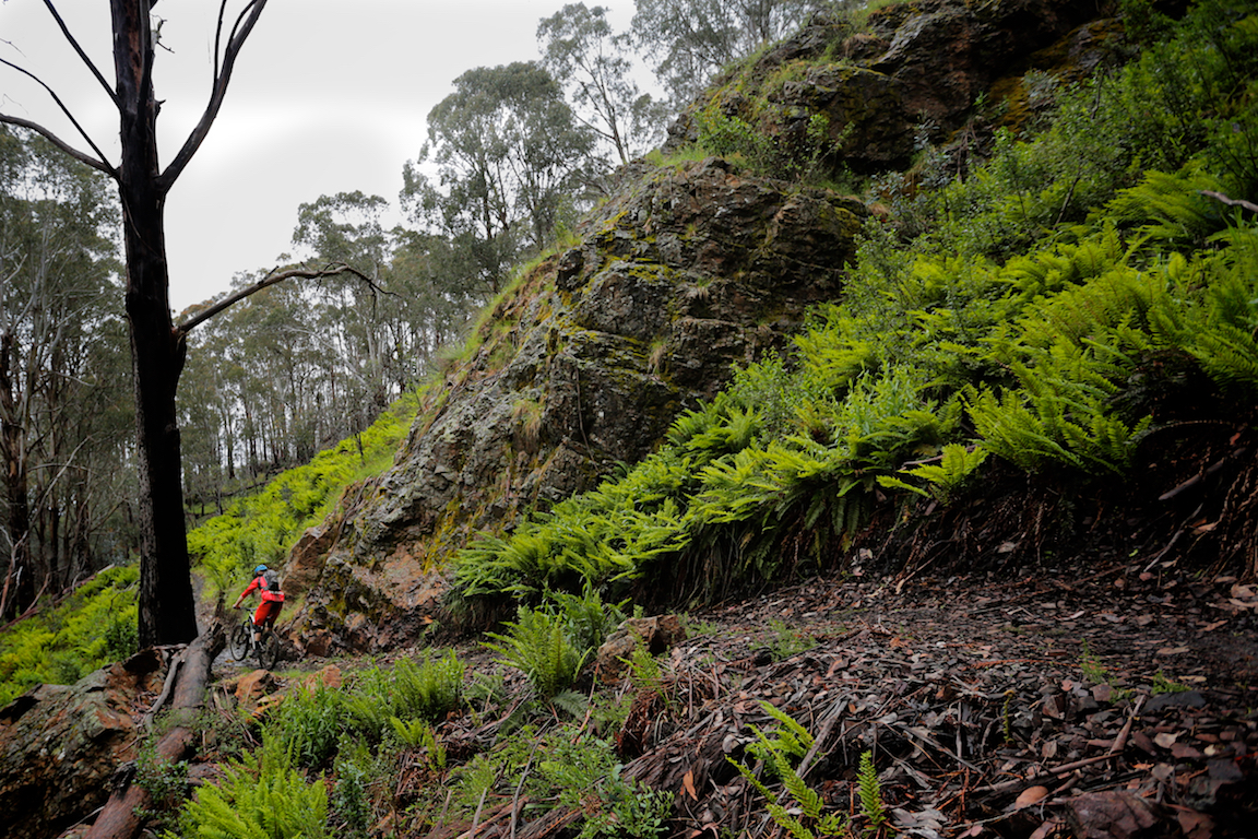 How's the terrain! This was not an easy section of trail to build through, but the team manage to join up spectacular features with beautiful flowing singletrack just fine.