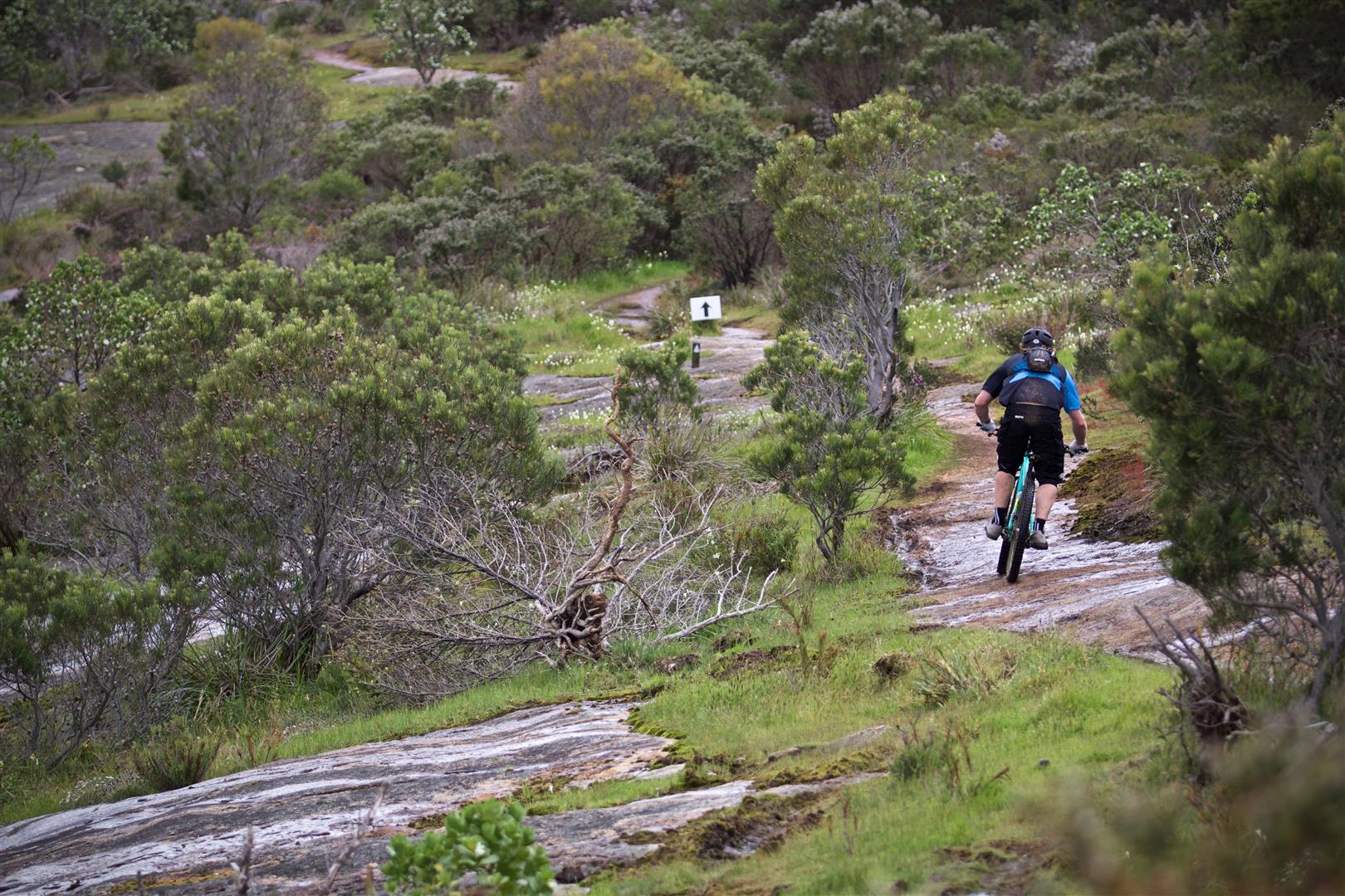 XC on wet off camber granite. The locals run beefy tyres and there isn’t much moss. 