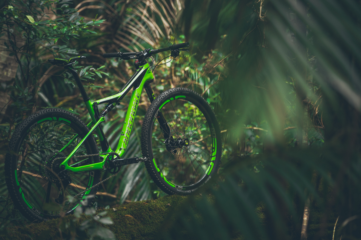 Greener than a mossy log under a lush canopy deep in the Awaba MTB Park.