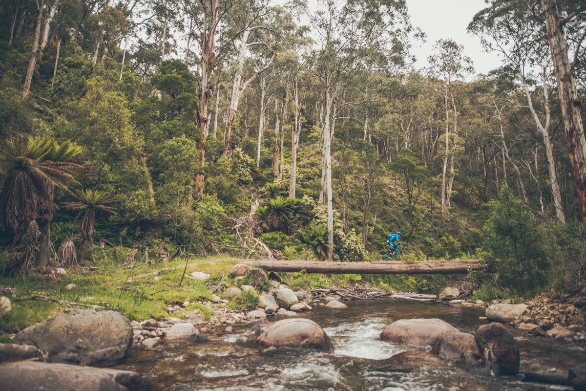 The amazing Delatite River Trail, Mt Buller.