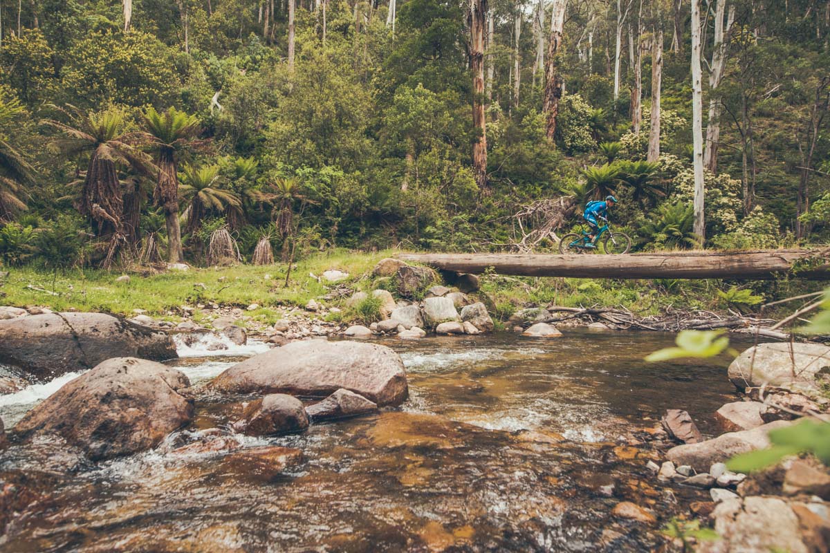 The Delatite River trail is an absolute classic.