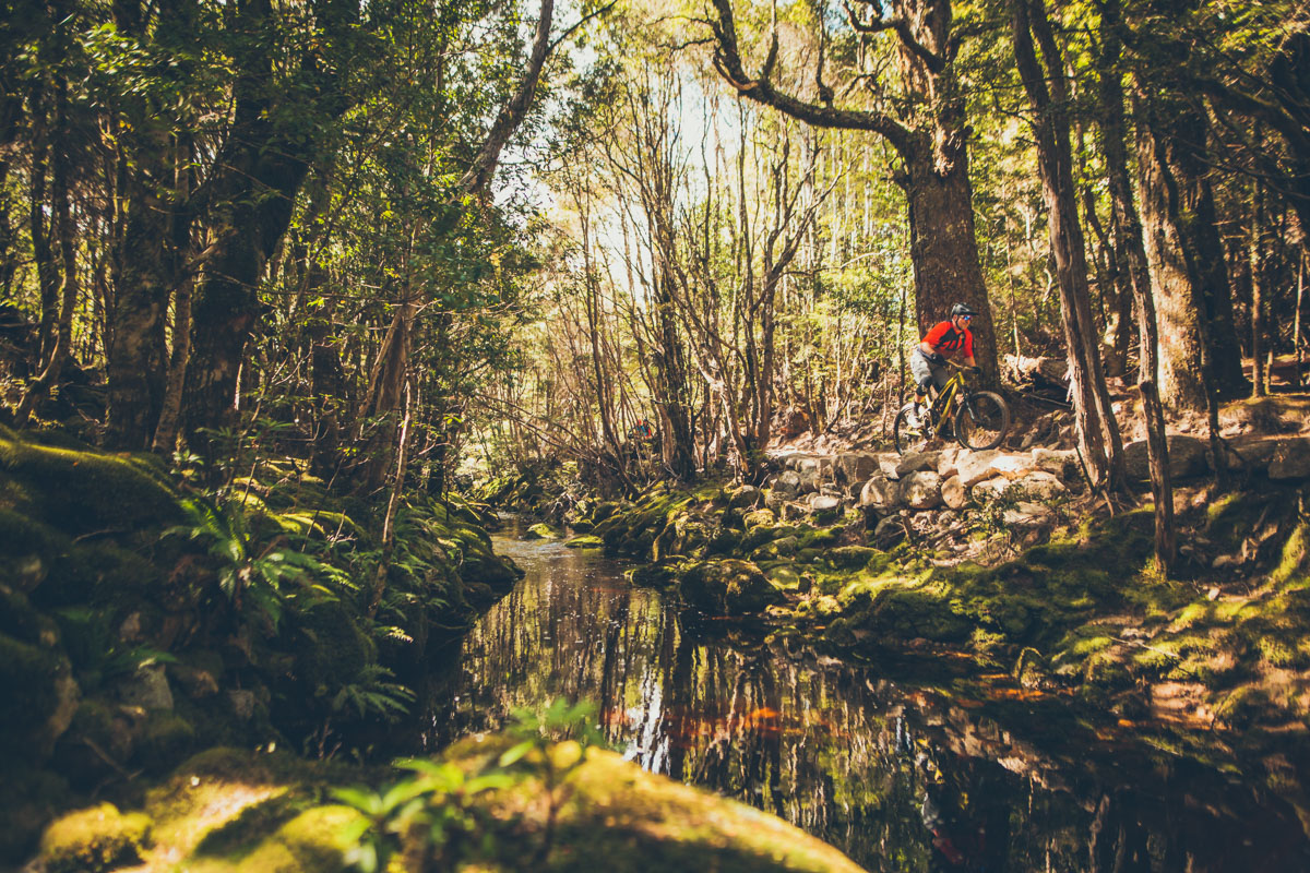 This is what it's all about. A complete mind explosion of green and lush Tassie wilderness.