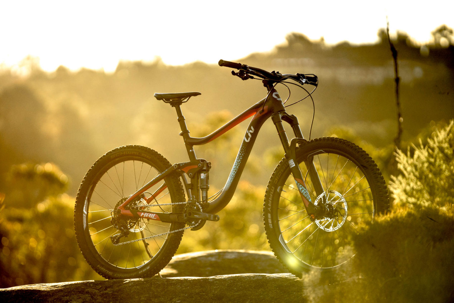 Liv Mountain Bike Reviews Flow Mountain Bike