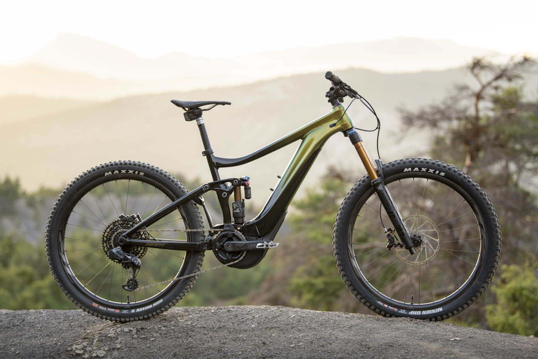 2020 giant reign e pro 1