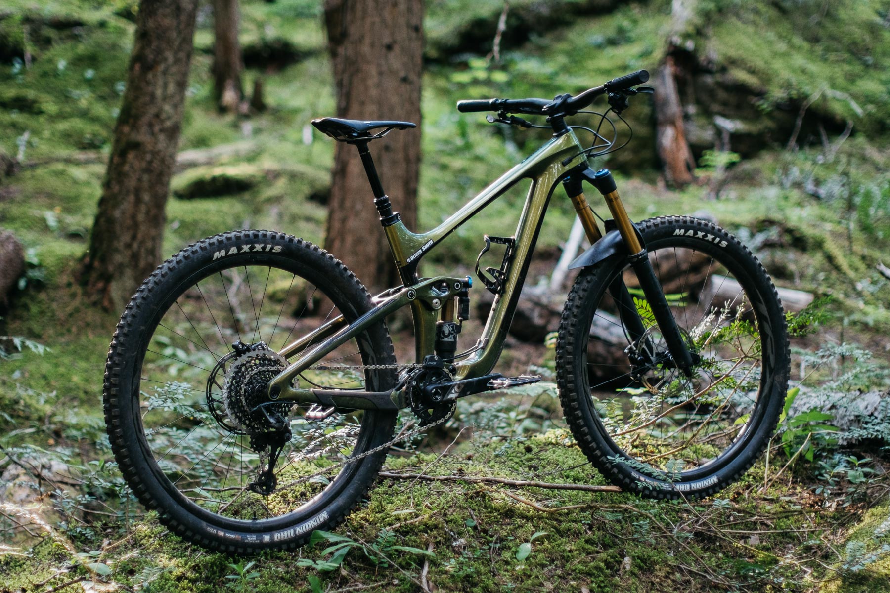 First Ride Review 2020 Giant Reign Advanced Pro 29er 0