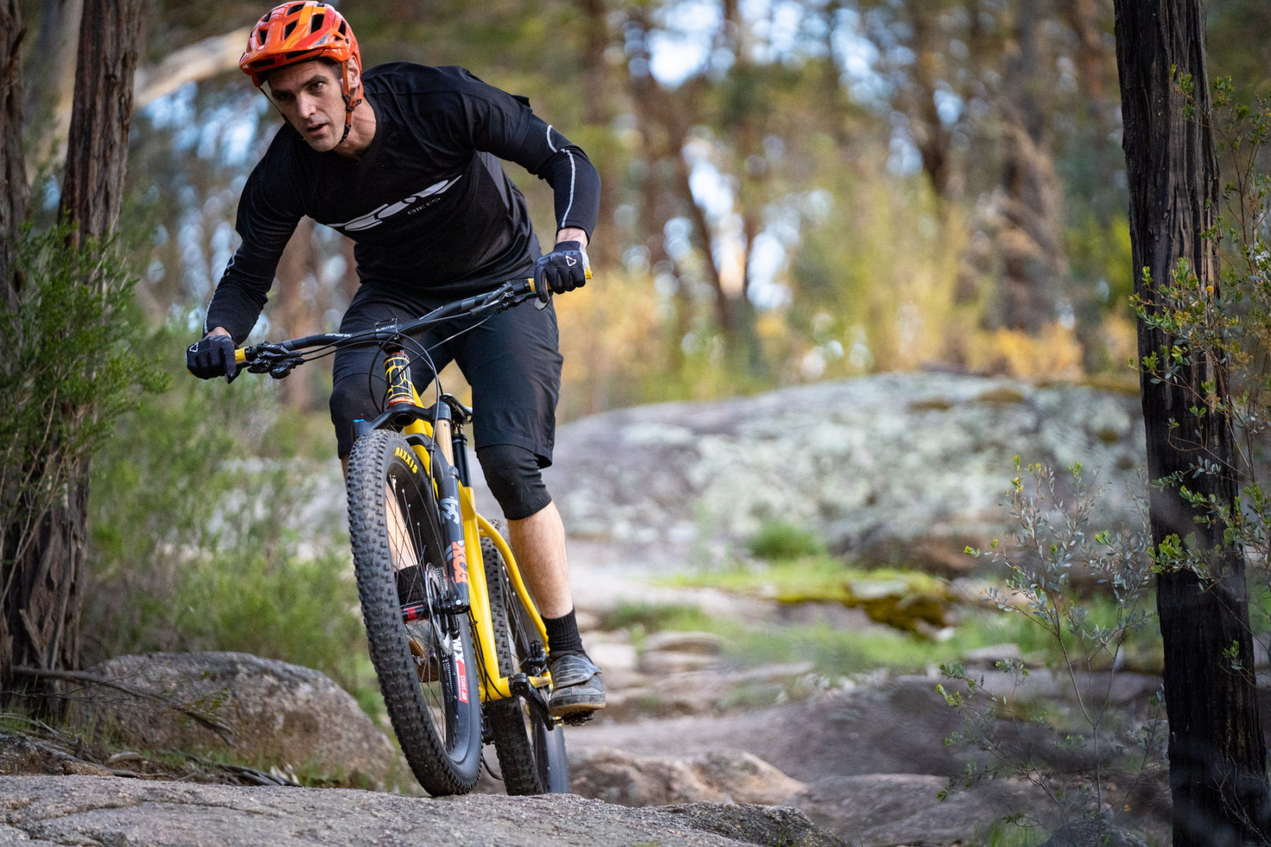 tor bikes hardtail beechworth