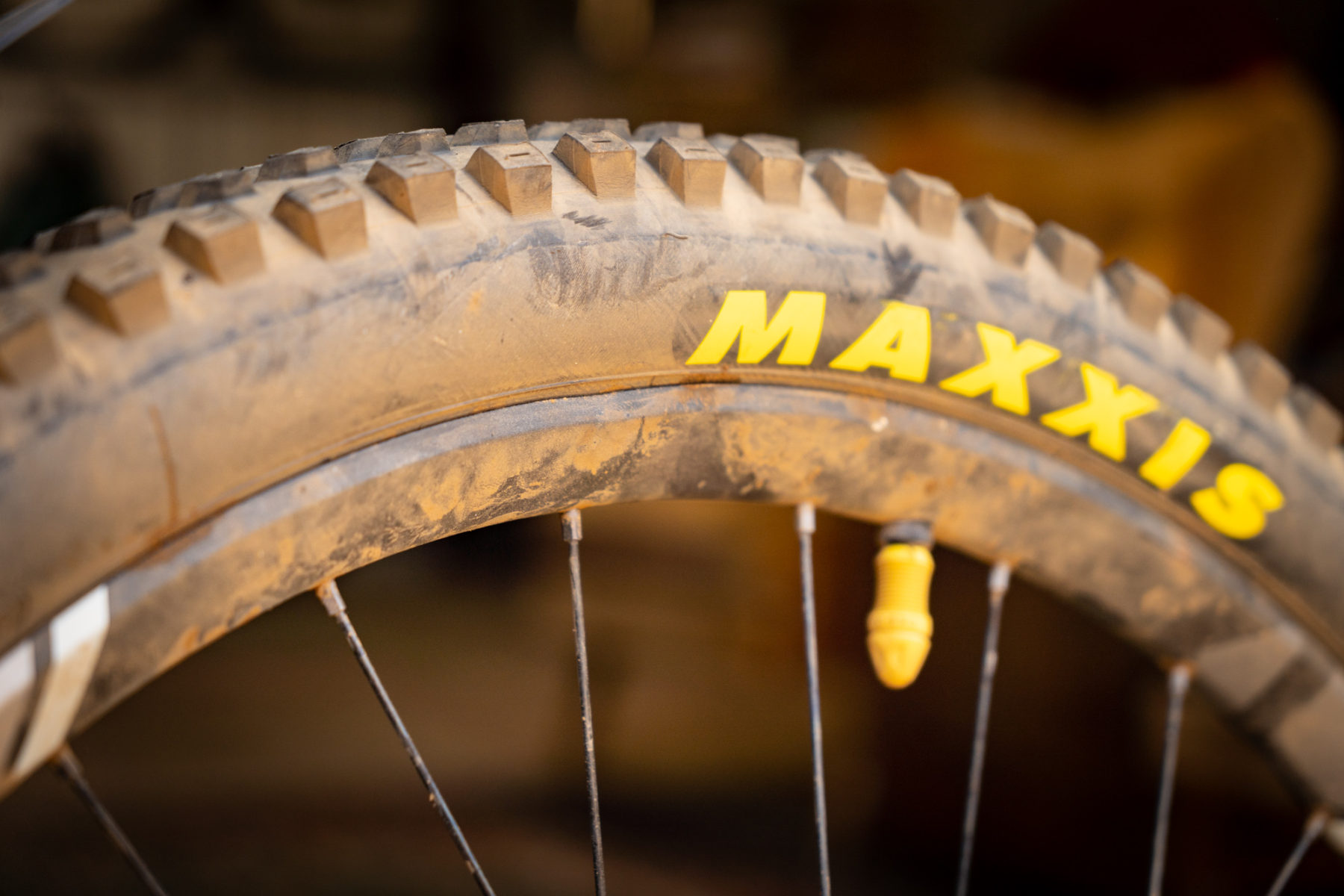 dt swiss rim maxxis tyre broken damaged dent