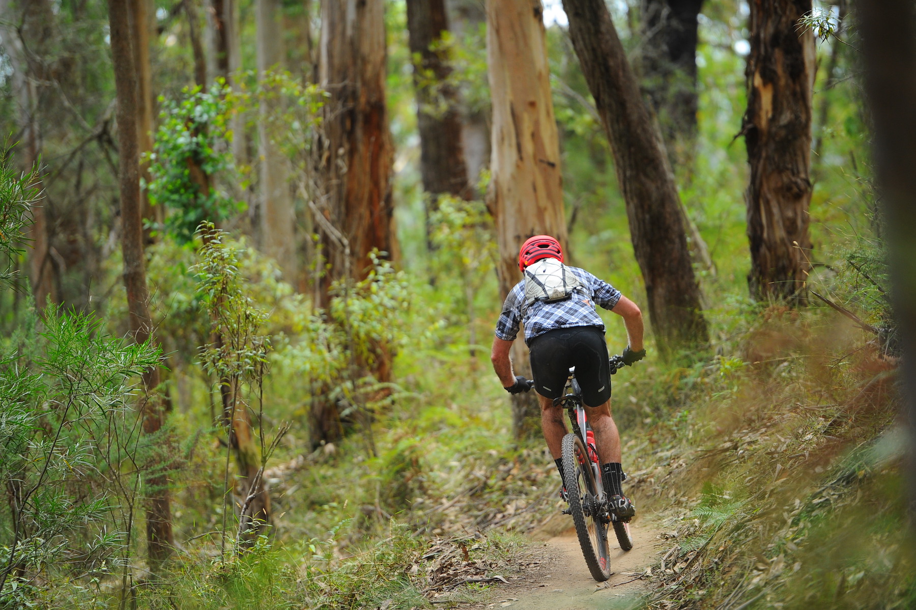 2020 otway odyssey forrest xc marathon