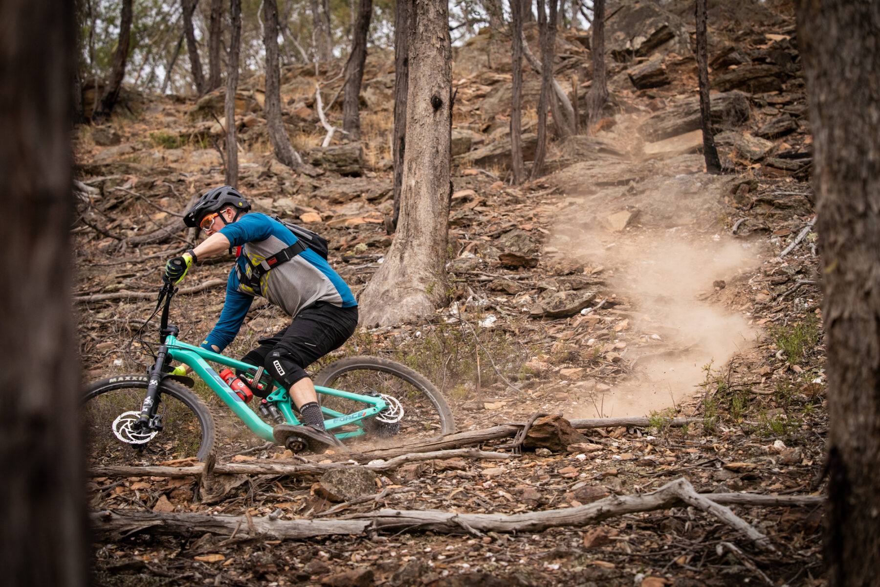 2020 gt force 29 expert bendigo dan macmunn