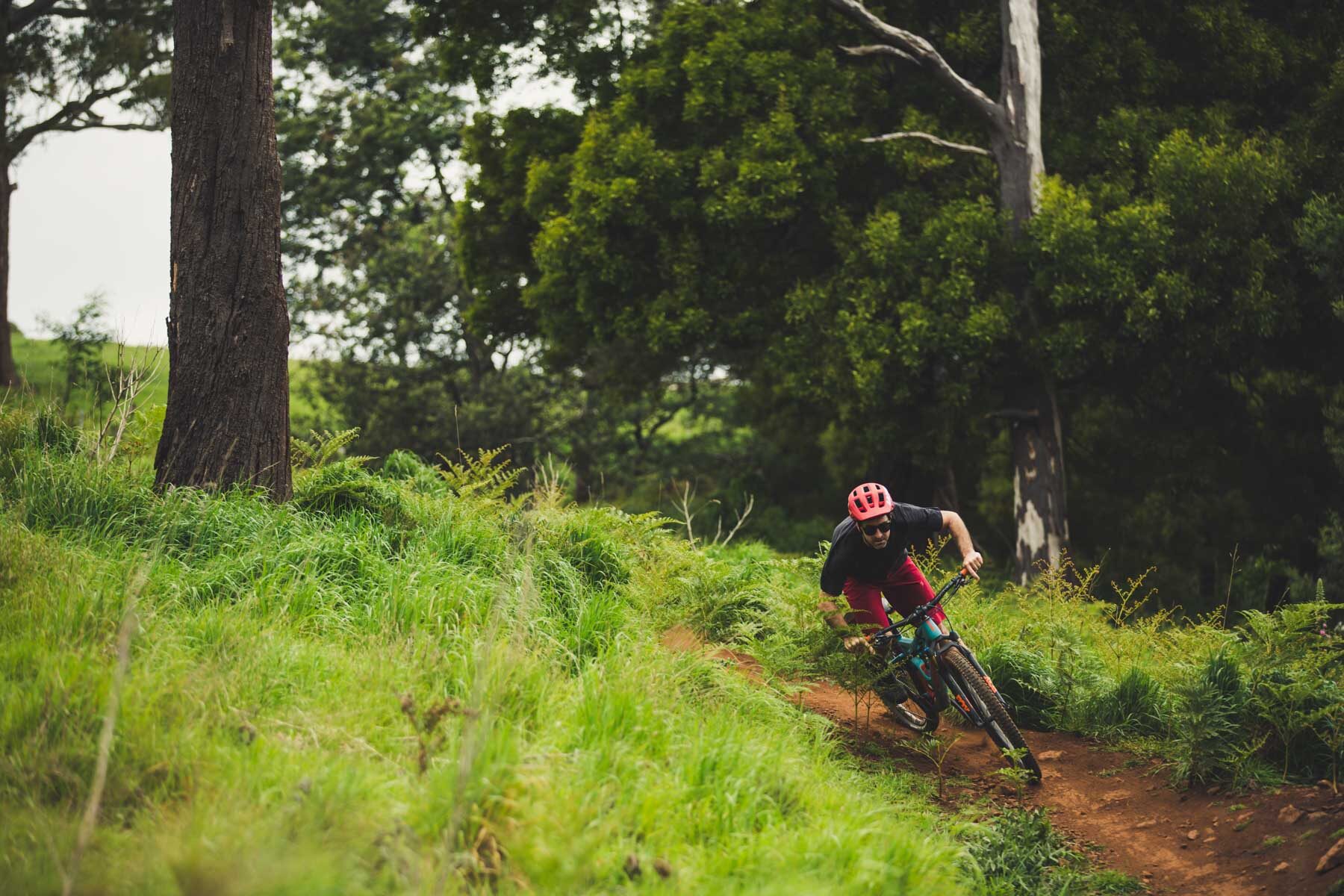 2020 orbea occam m10 mick derby tasmania