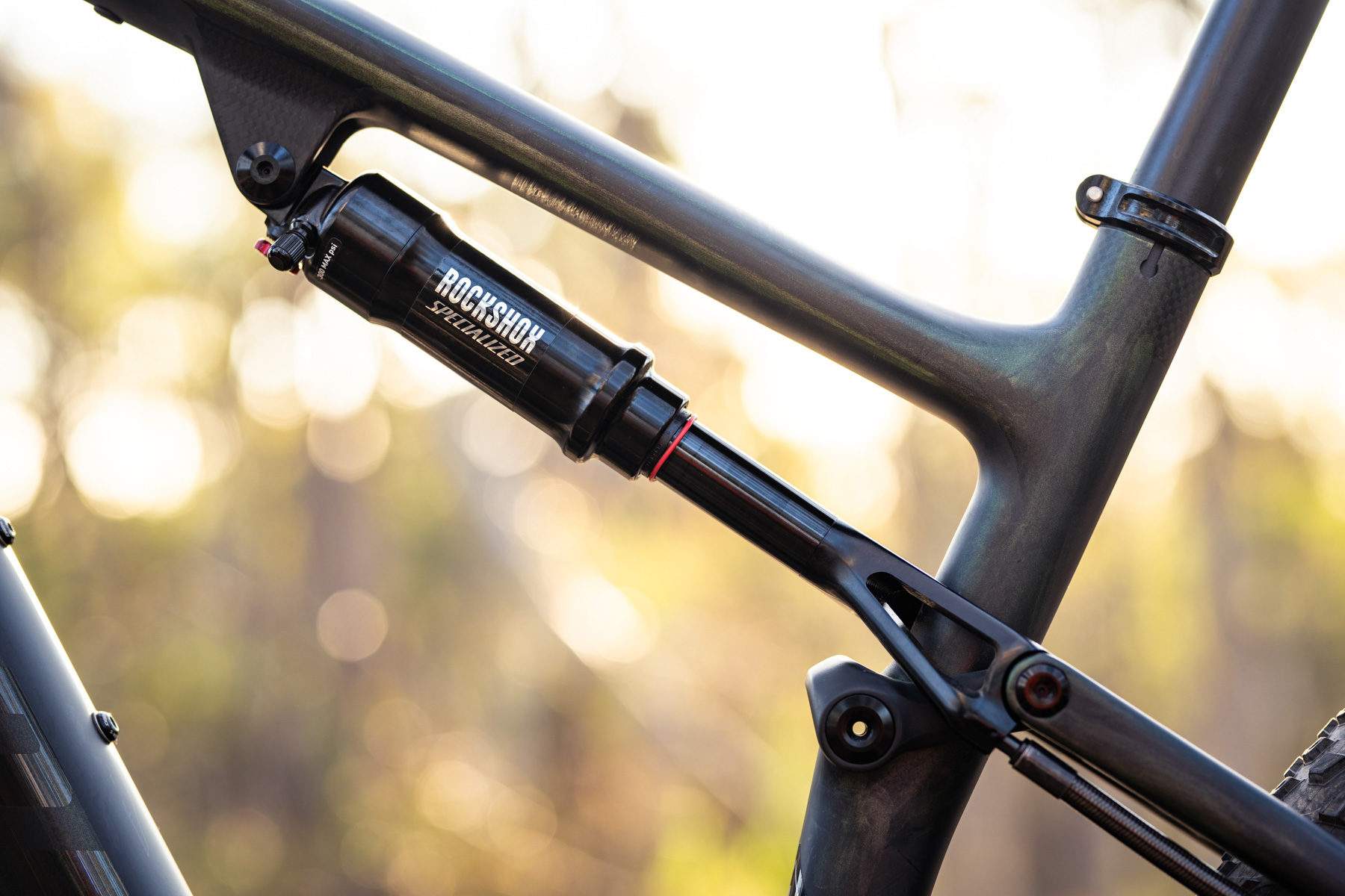 specialized epic weight