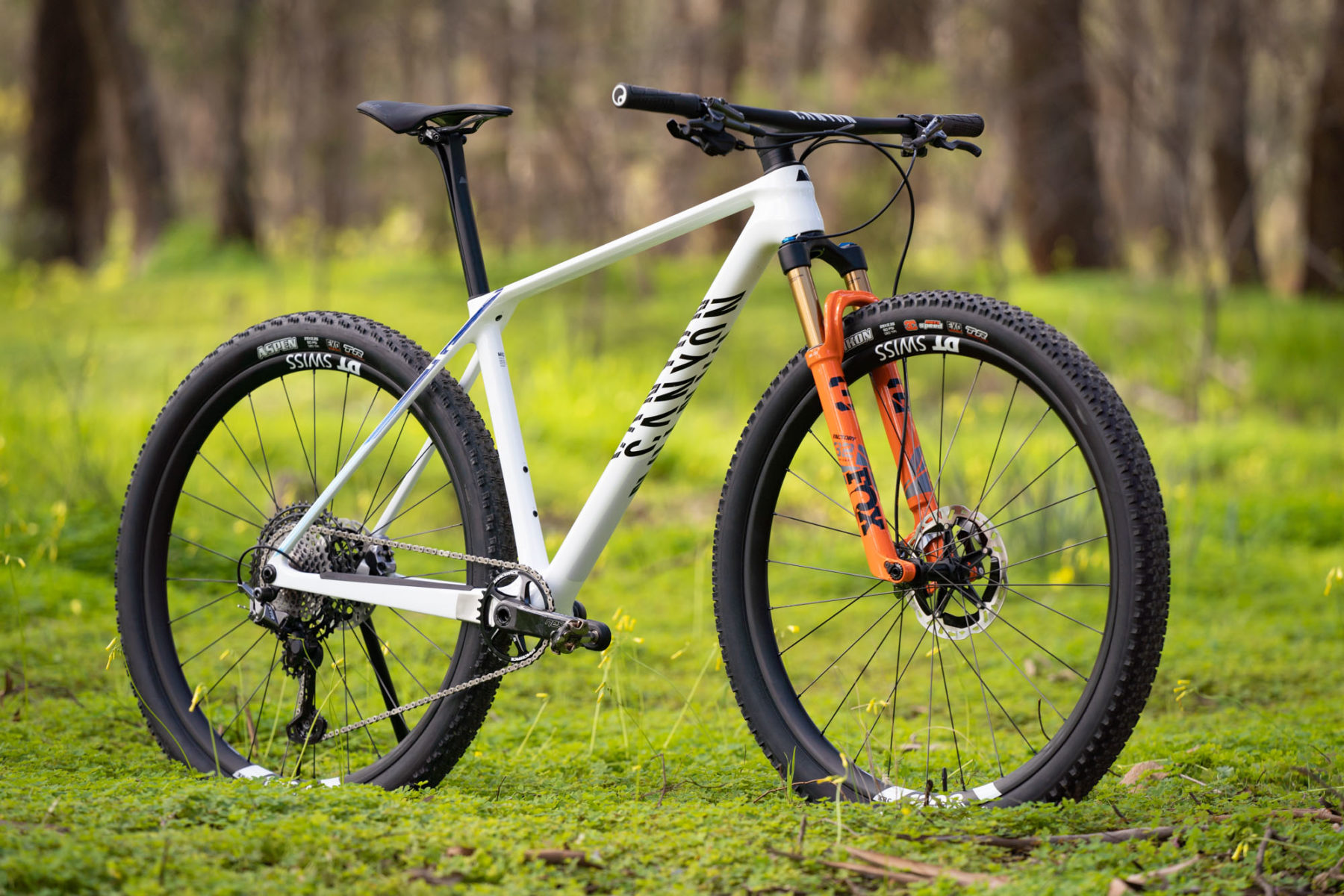 Canyon hardtail mountain deals bike