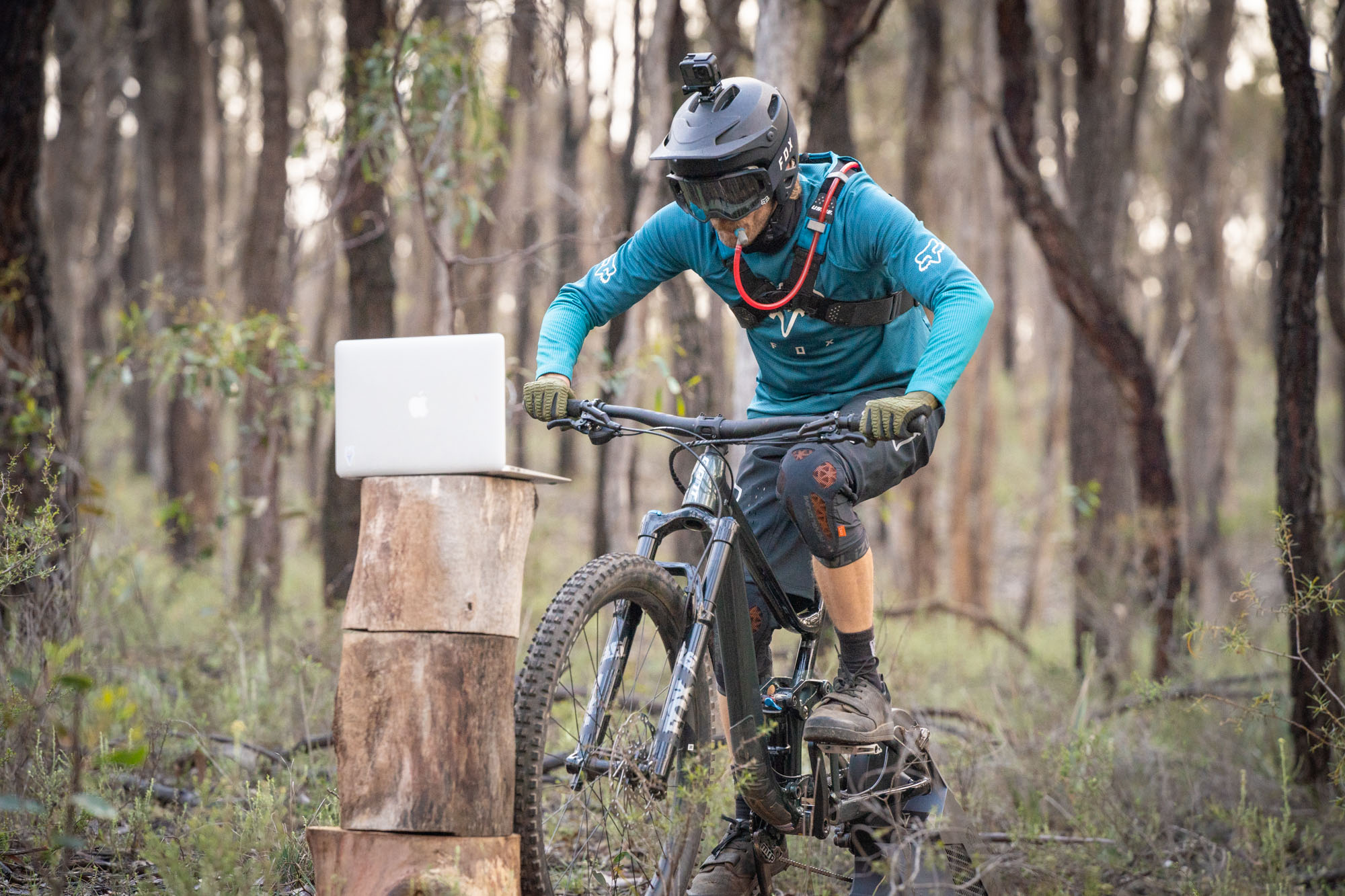 Saris Archives Flow Mountain Bike