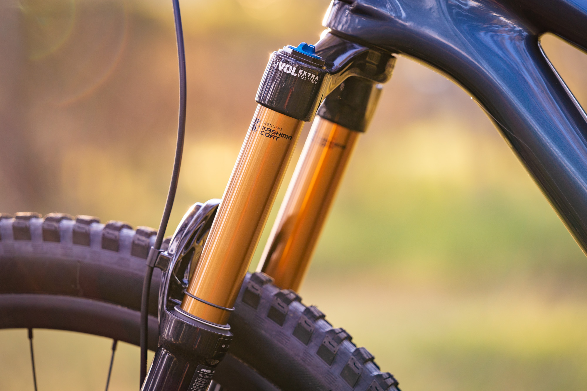 Specialized Stumpjumper 2021 Review Goodbye FSR, hello flex stay!