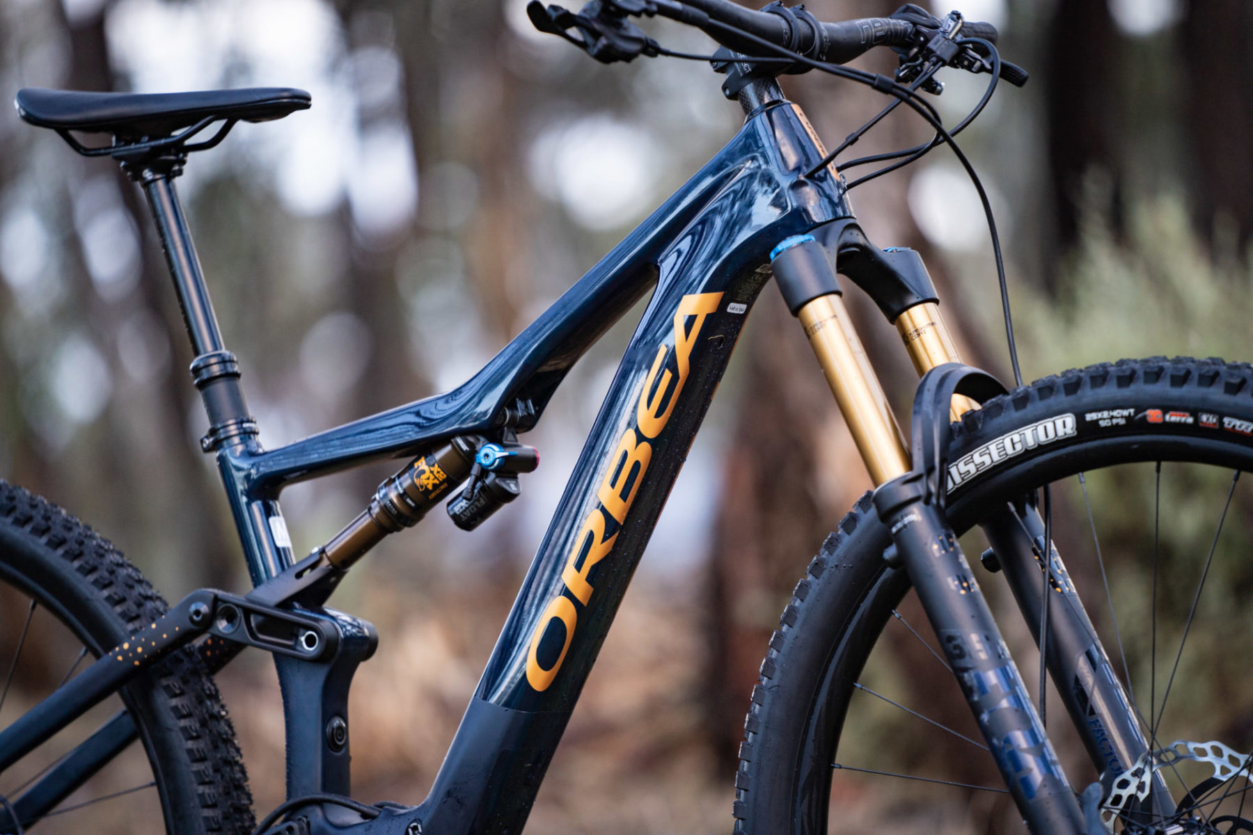 Orbea Mountain Bike Reviews Flow Mountain Bike