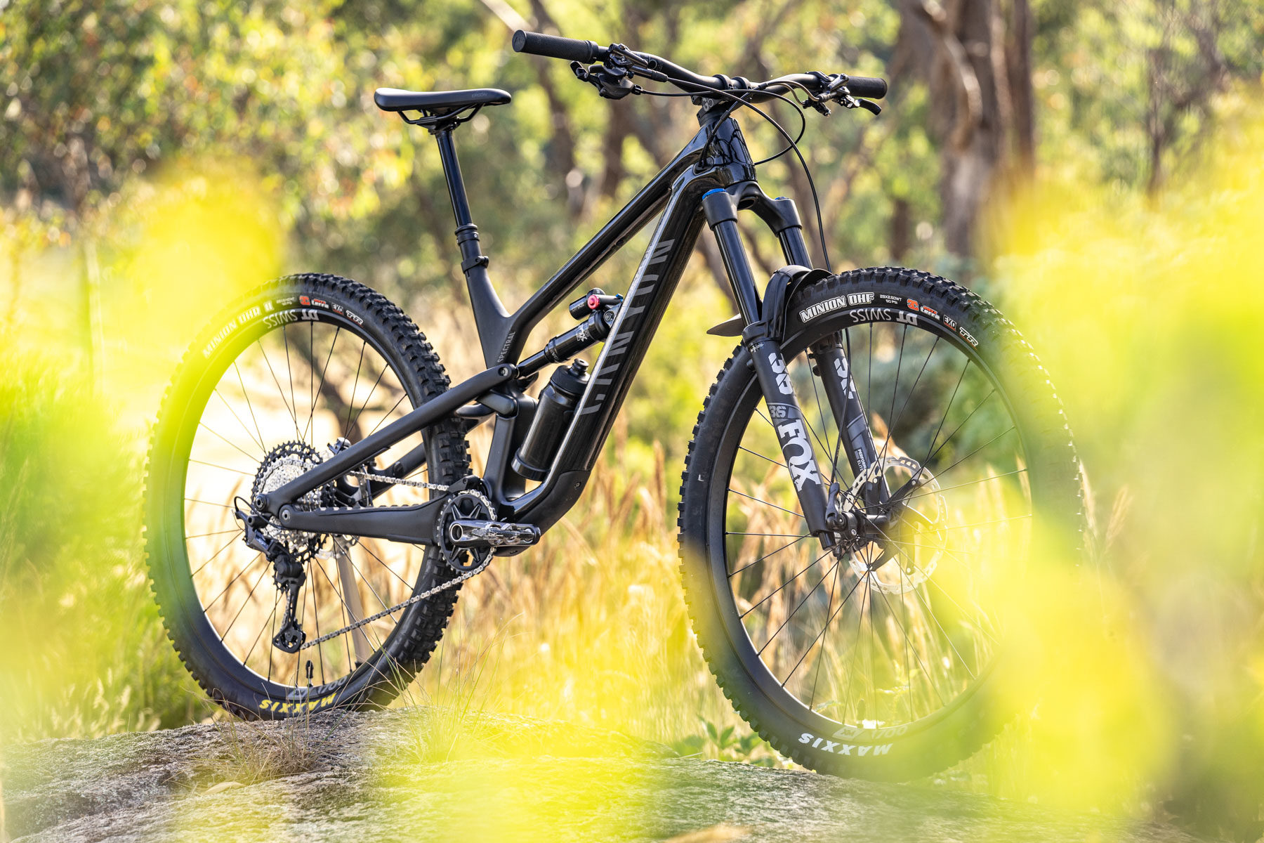 2021 Canyon spectral 29 cf 8.0