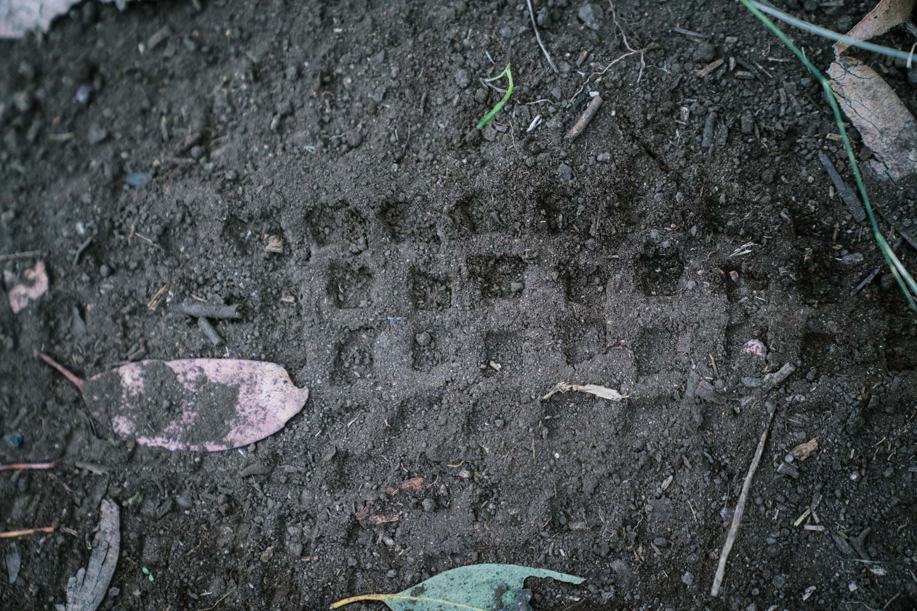 mt buller dirt tread soil