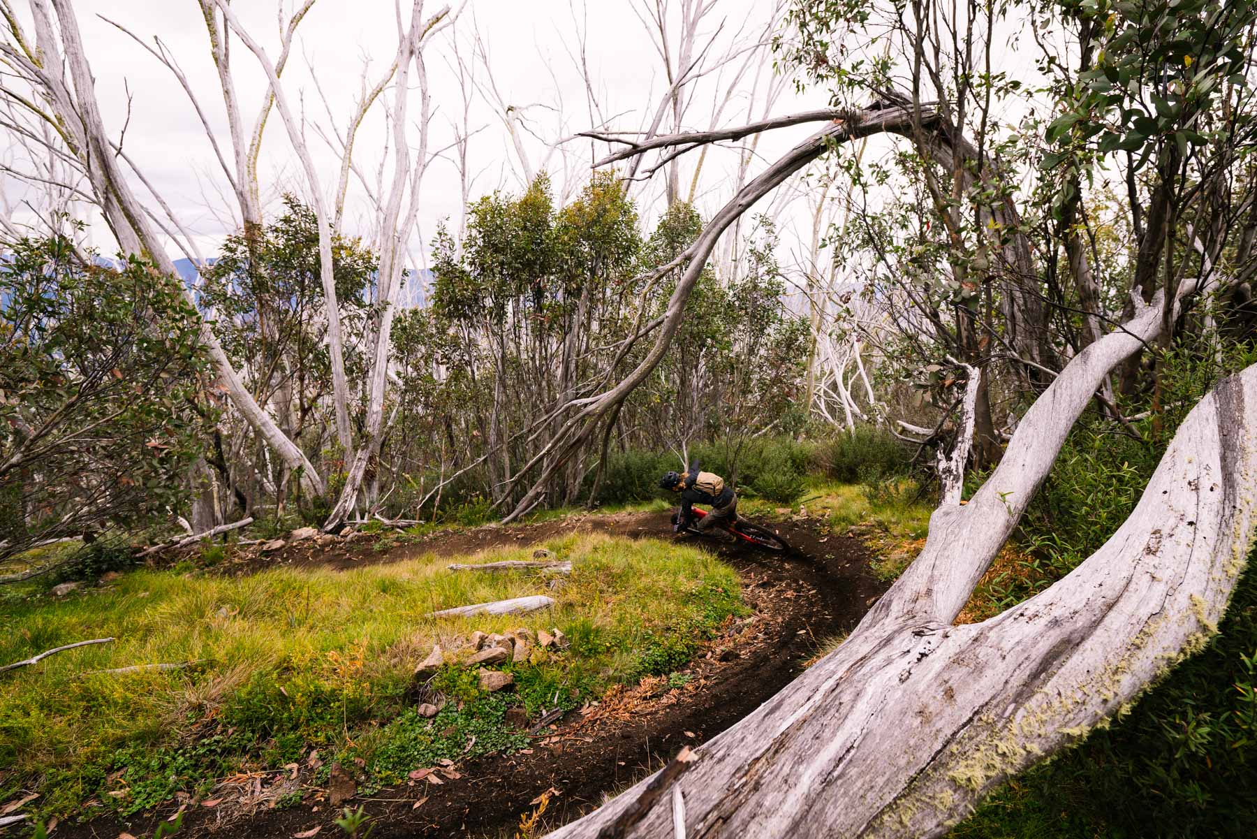 2021 specialized levo pro mt buller