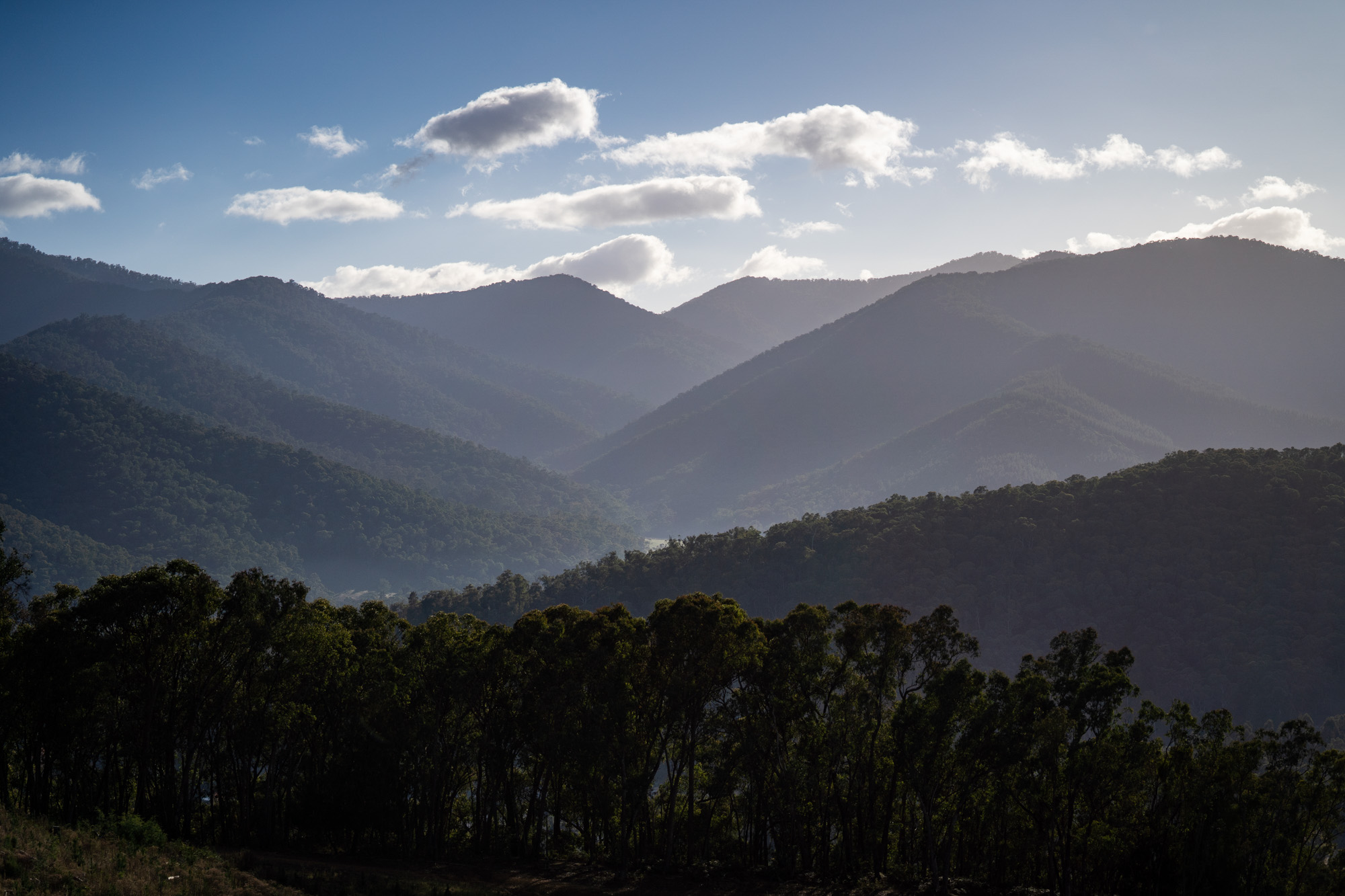 bright victorian high country