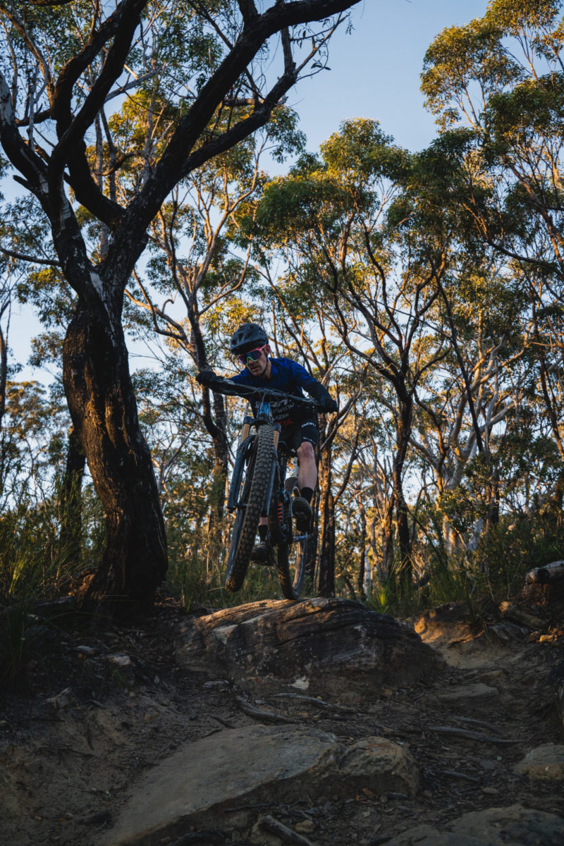 Royal National Park