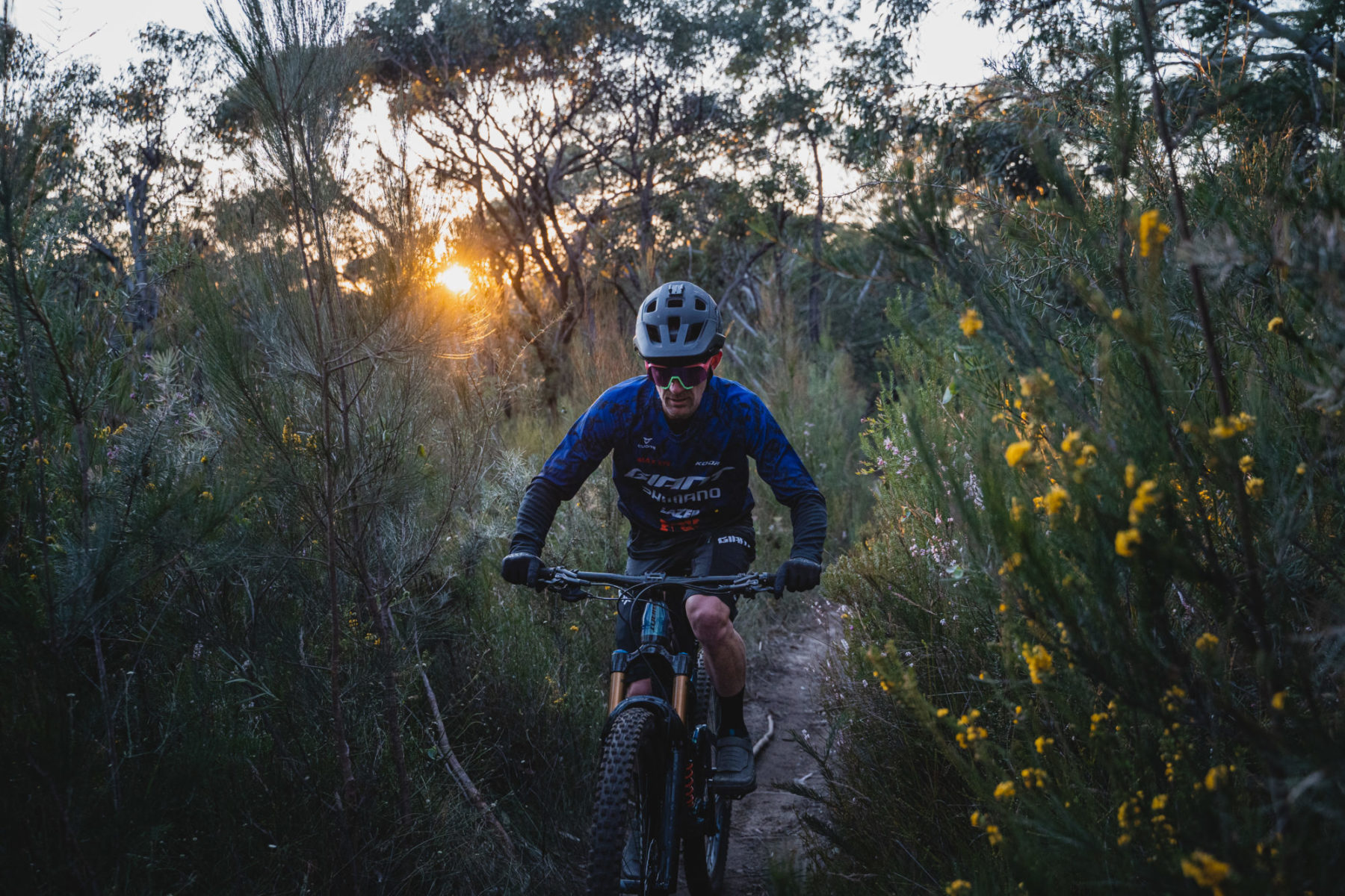 Royal National Park