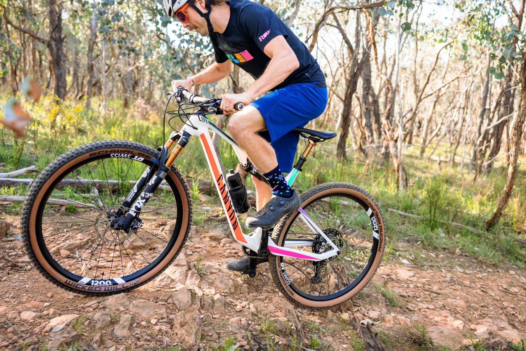 fox transfer sl factory