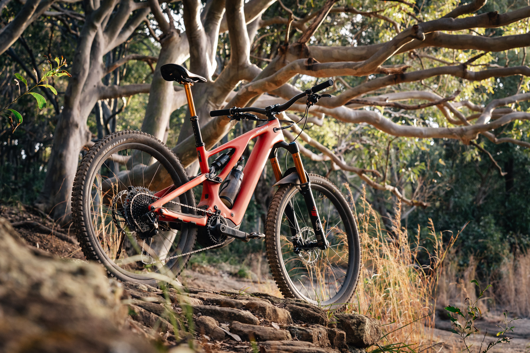 The most expensive mountain bikes of 2022 Flow Mountain Bike