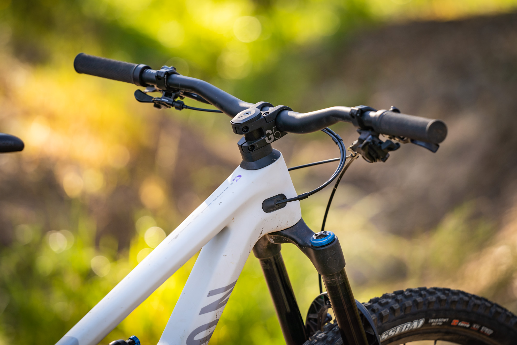 Canyon Spectral CF 8 CLLCTV Review A mullet bike that s built to