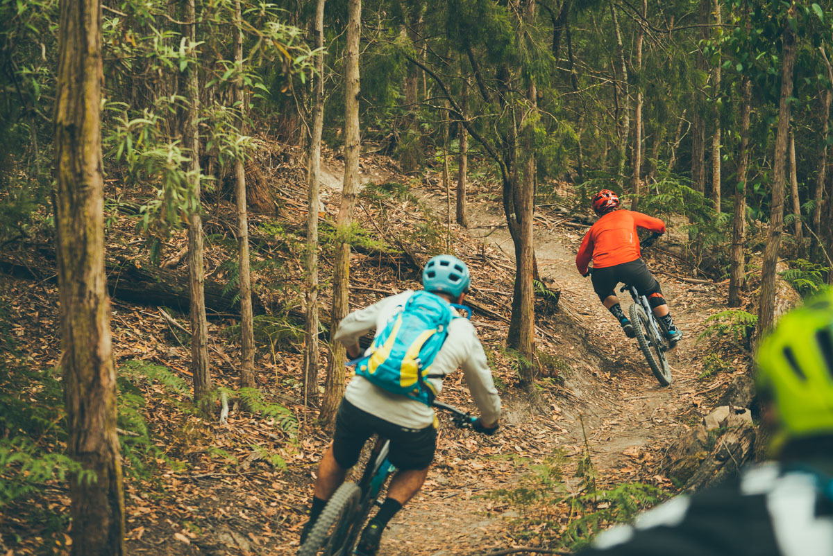 Ride the mountain The City of Hobart is making moves on kunanyi/Mount