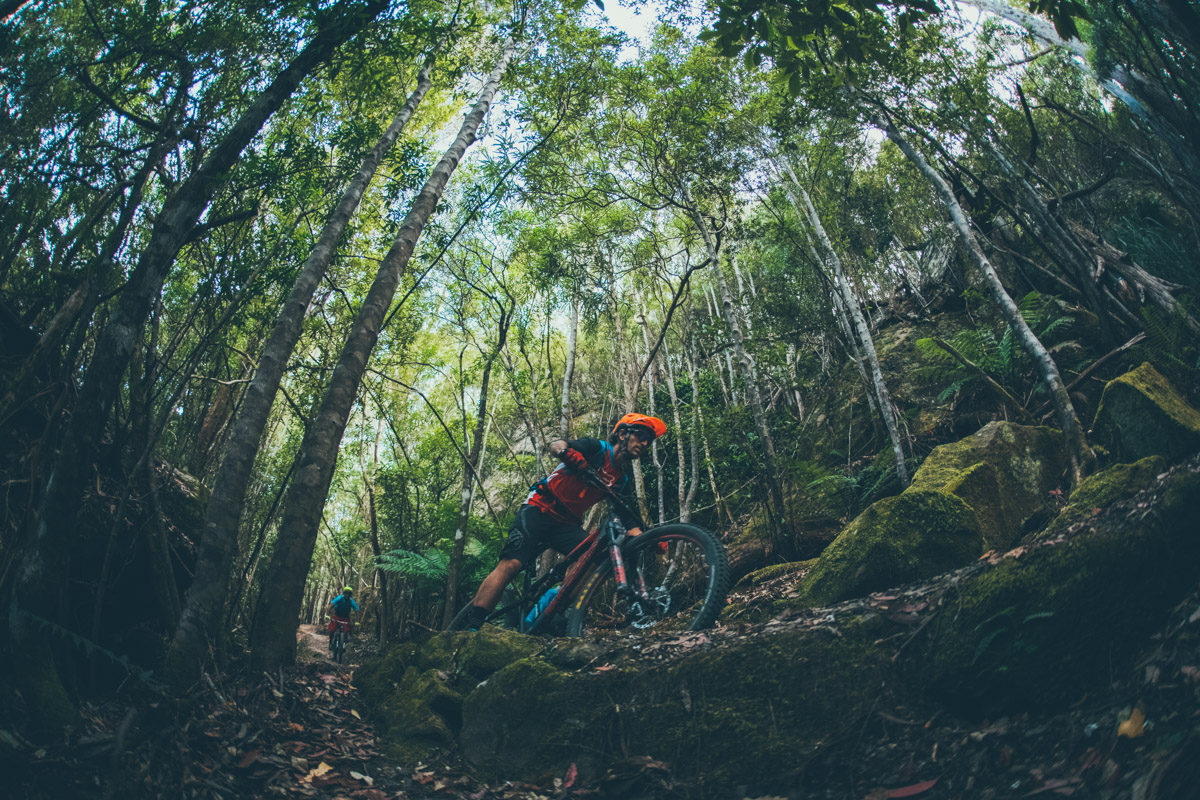 Ride the mountain The City of Hobart is making moves on kunanyi/Mount