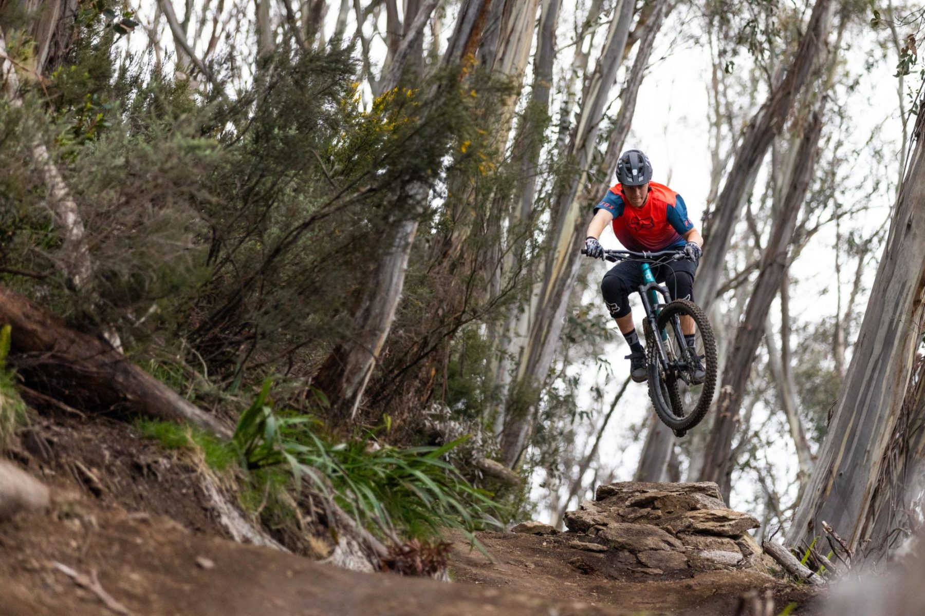 Thredbo MTB