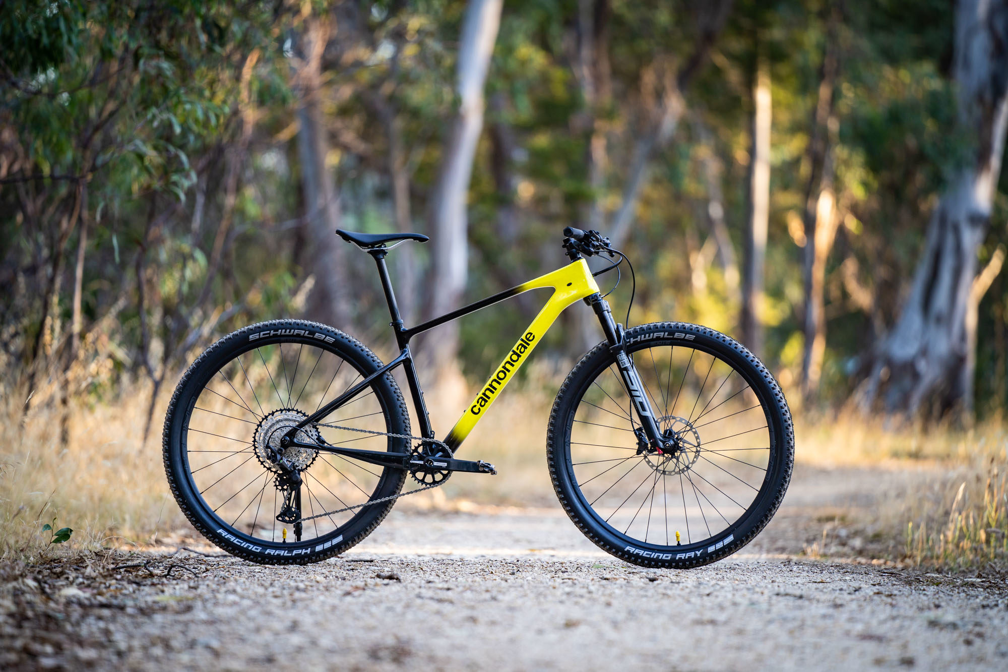 2022 Cannondale Scalpel HT A carbon hardtail with a 66.5° head angle