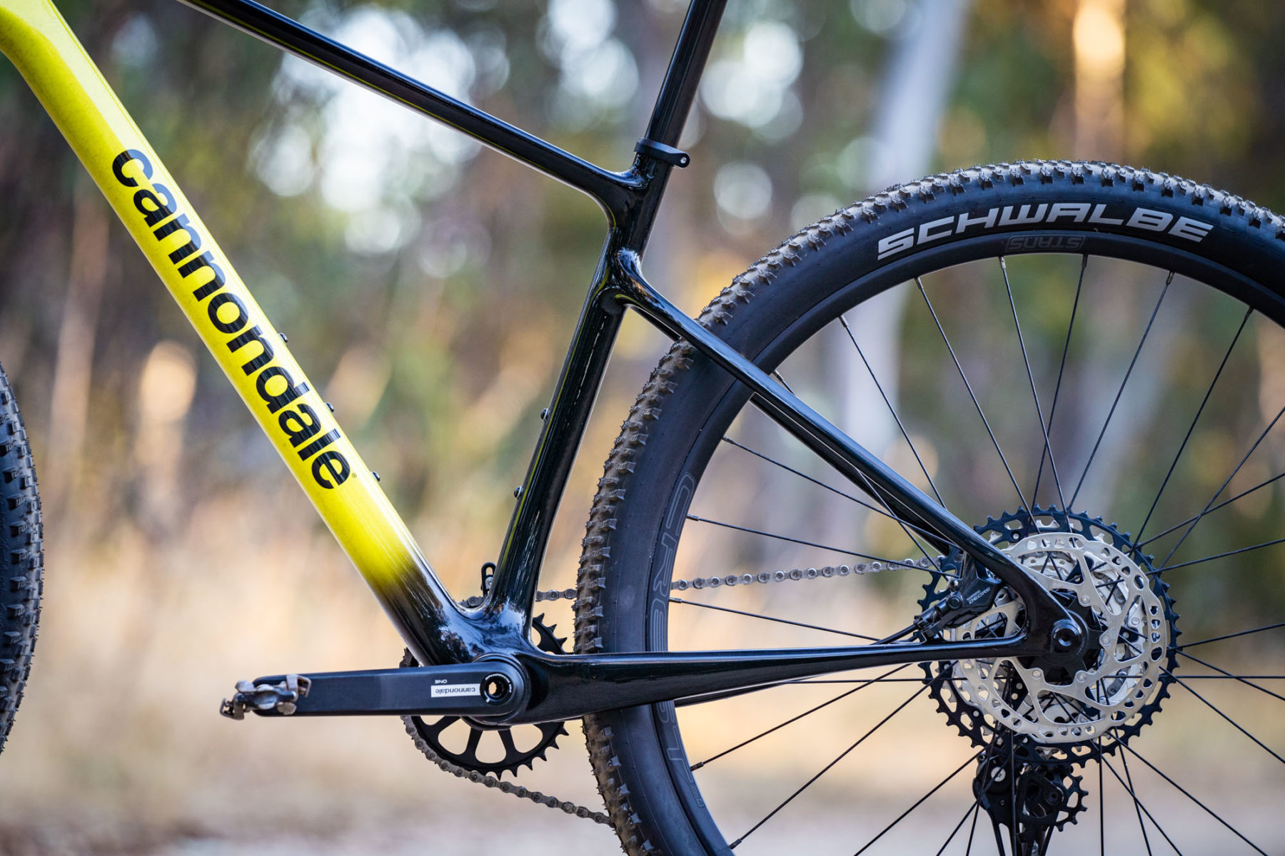 Cannondale hardtail online 2021