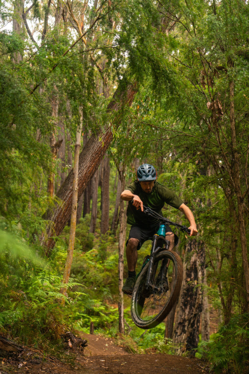 Warburton Mountain Bike Destination