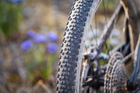 2022 Giant Trance 29 Review | A muscly 