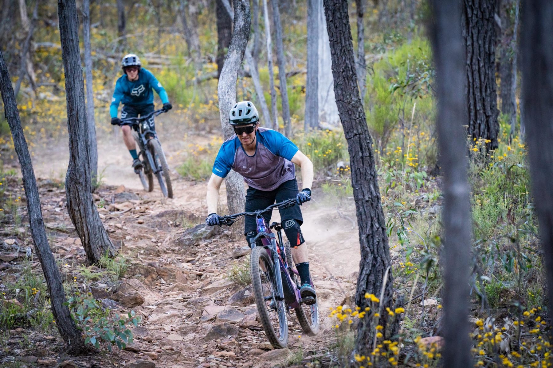 2022 cannondale jekyll