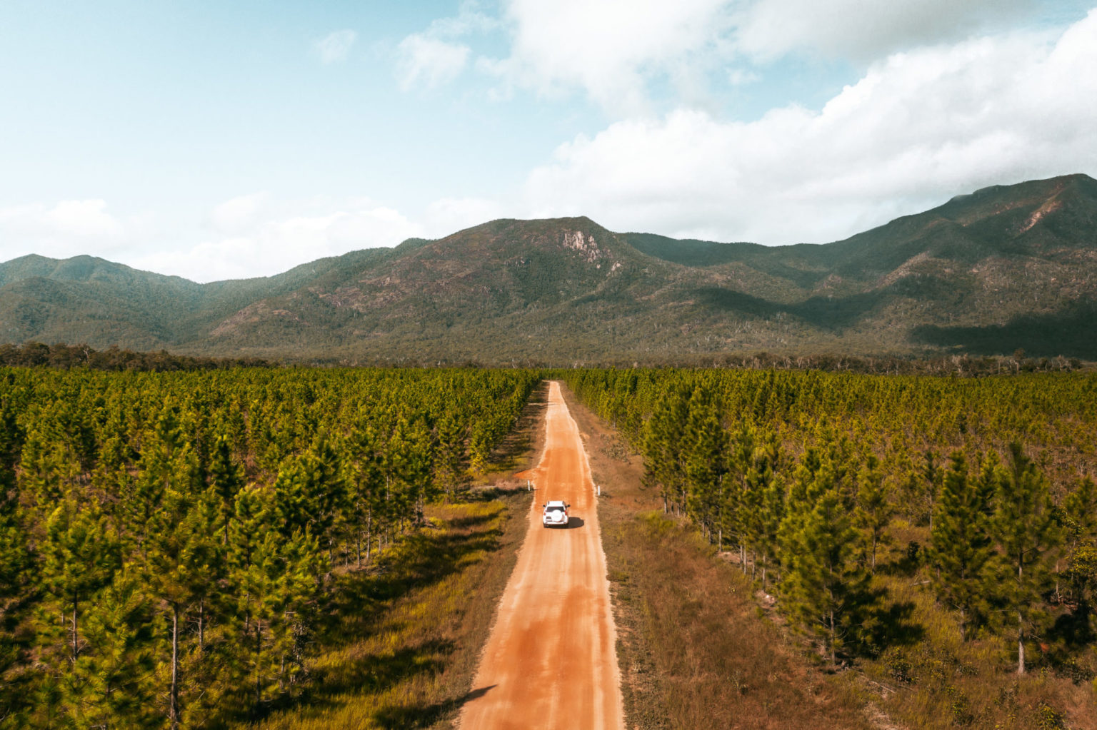 Crabs and cuttys on the Cassowary Coast 96km trail network proposed