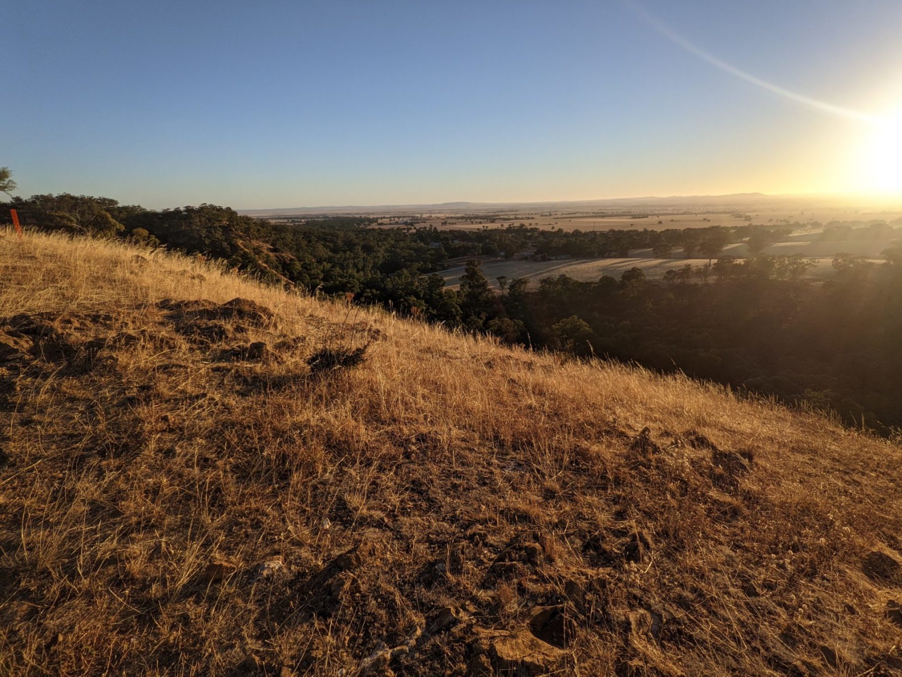 Mount Remarkable Epic New 38km epic trail and family friendly trails