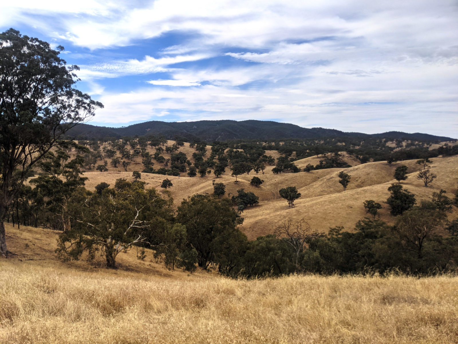 Mount Remarkable